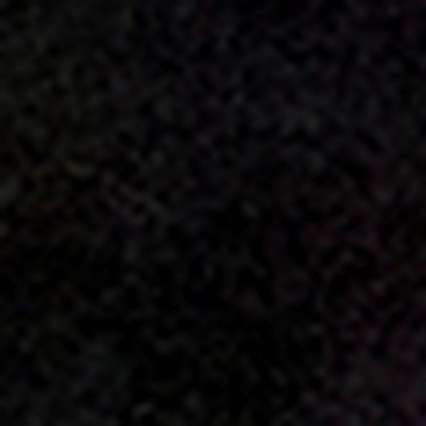 Aviator Nima - Burgundy Fuchs/Light Grey