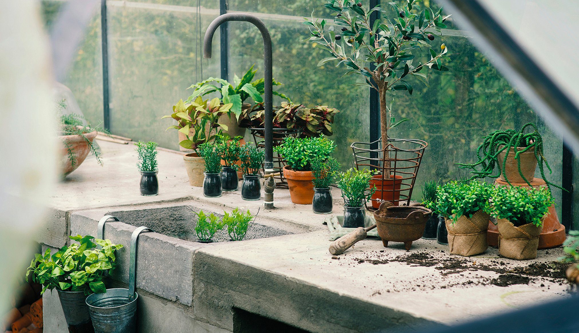 Plant & Co